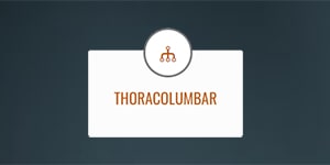 Thoracolumbar