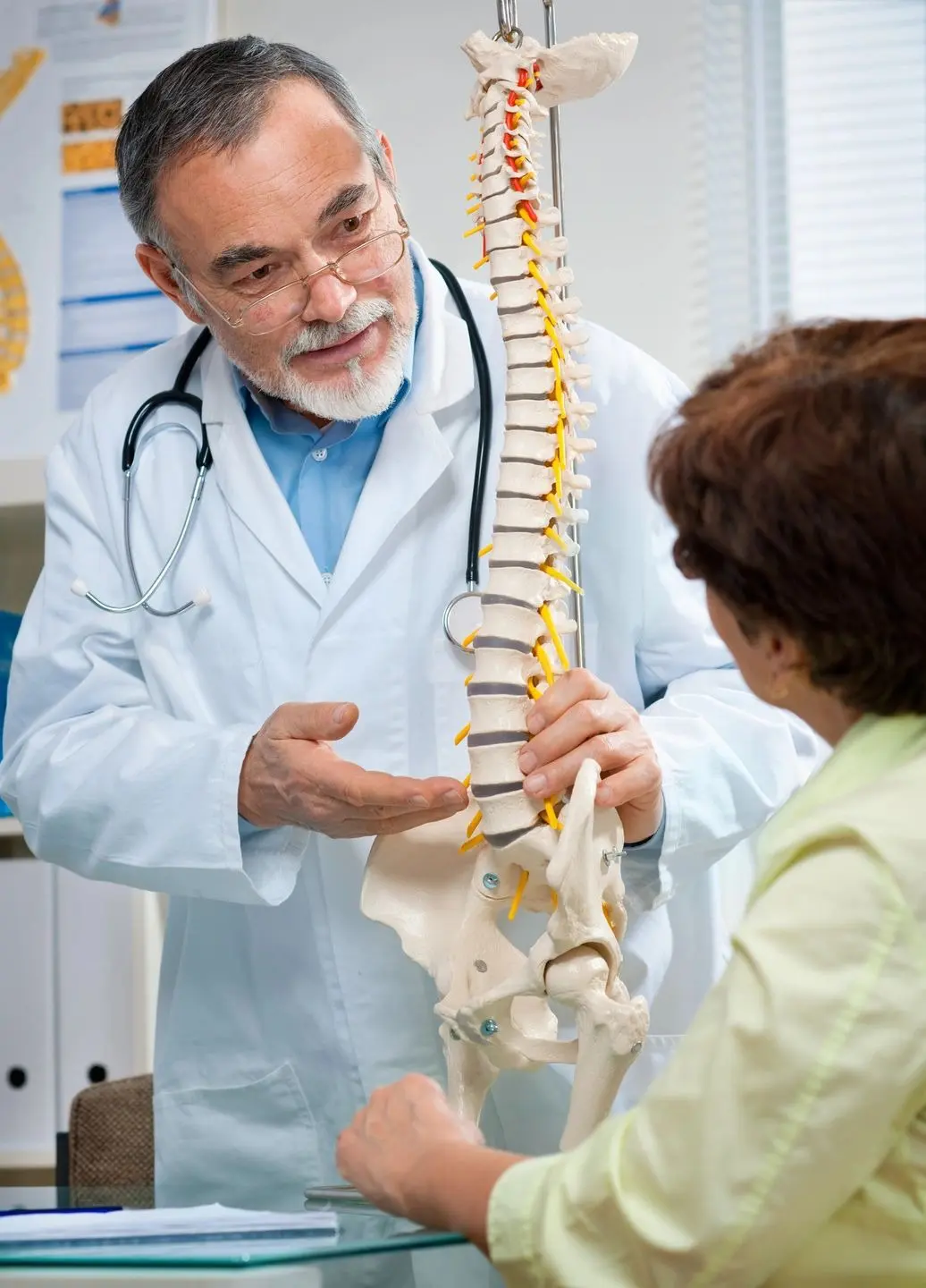 Doctor showing a spinal model to a patient.